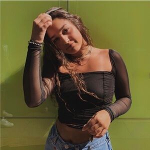 urban outfitters sheer long sleeve crop top